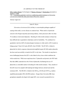 AN ABSTRACT OF THE THESIS OF