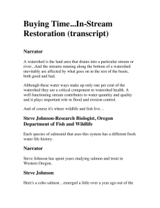 Buying Time...In-Stream Restoration (transcript) Narrator