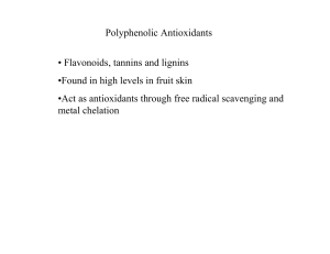 Polyphenolic Antioxidants • Flavonoids, tannins and lignins