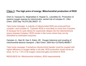 Class 1: The high price of energy: Mitochondrial production of ROS