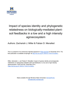 Impact of species identity and phylogenetic relatedness on biologically-mediated plant-