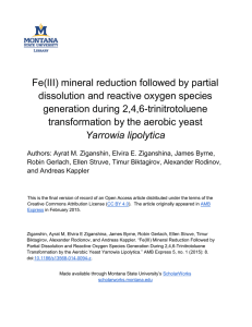 Fe(III) mineral reduction followed by partial dissolution and reactive oxygen species