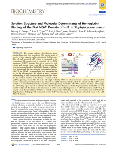 Solution Structure and Molecular Determinants of Hemoglobin Staphylococcus aureus