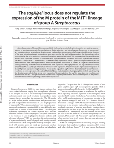 sagA expression of the M protein of the M1T1 lineage Streptococcus Introduction