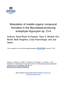 Modulation of volatile organic compound formation in the Mycodiesel-producing