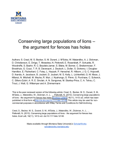 Conserving large populations of lions –