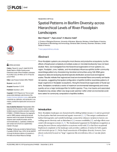 Spatial Patterns in Biofilm Diversity across Hierarchical Levels of River-Floodplain Landscapes
