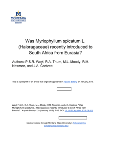 Was Myriophyllum spicatum L. (Haloragaceae) recently introduced to South Africa from Eurasia?