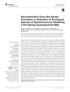 Recombination Does Not Hinder Formation or Detection of Ecological