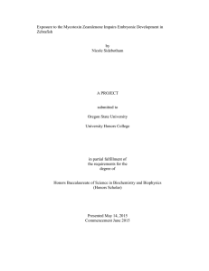 Exposure to the Mycotoxin Zearalenone Impairs Embryonic Development in Zebrafish  by