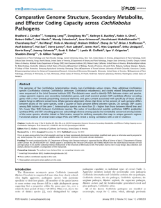 Cochliobolus Comparative Genome Structure, Secondary Metabolite, and Effector Coding Capacity across Pathogens