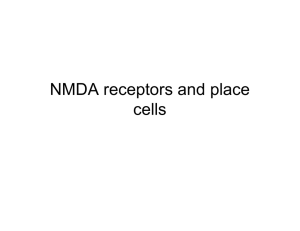 NMDA receptors and place cells