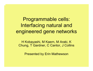 Programmable cells: Interfacing natural and engineered gene networks