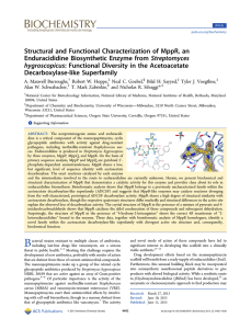 Structural and Functional Characterization of MppR, an