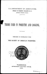 TERMS BED IN FORESTRY AND LOGGING. U. S. DEPARTMENT OF AGRICULTURE, WASHINGTON: