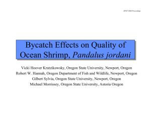 Bycatch Effects on Quality of Pandalus jordani