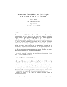 International Capital Flows and Credit Market