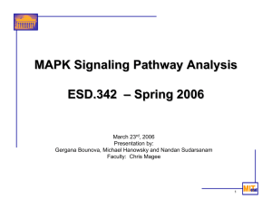 MAPK Signaling Pathway Analysis ESD.342 – Spring 2006