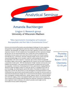 Analytical Seminar Amanda Buchb Amanda Buchbe erger