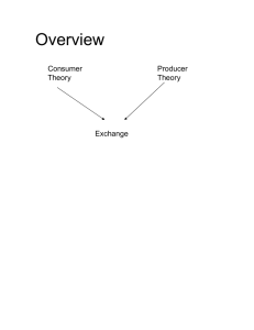 Overview Consumer Producer Theory