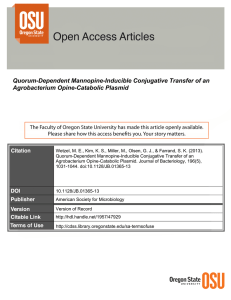 Quorum-Dependent Mannopine-Inducible Conjugative Transfer of an Agrobacterium Opine-Catabolic Plasmid
