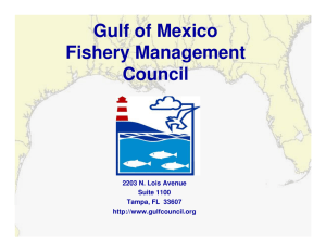 Gulf of Mexico Fishery Management Council 2203 N. Lois Avenue