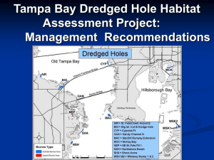 Tampa Bay Dredged Hole Habitat Assessment Project: Management  Recommendations