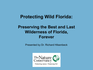 Protecting Wild Florida: Preserving the Best and Last Wilderness of Florida, Forever