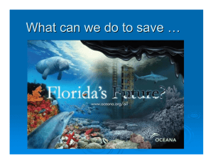 What can we do to save …