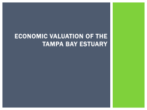 ECONOMIC VALUATION OF THE TAMPA BAY ESTUARY