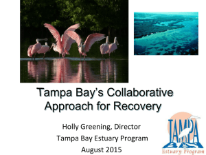 Tampa Bay’s Collaborative Approach for Recovery Holly Greening, Director