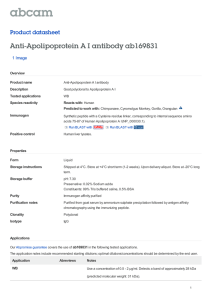 Anti-Apolipoprotein A I antibody ab169831 Product datasheet 1 Image