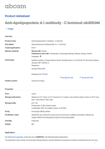 Anti-Apolipoprotein A I antibody - C-terminal ab205344