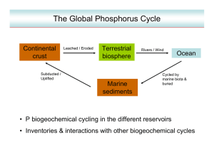 The Global Phosphorus Cycle