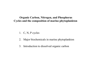 Organic Carbon, Nitrogen, and Phosphorus 1. C, N, P cycles