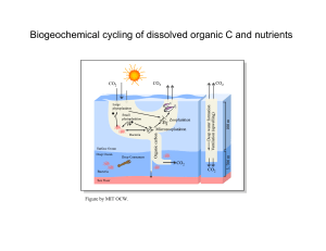 Biogeochemical cycling of dissolved organic C and nutrients