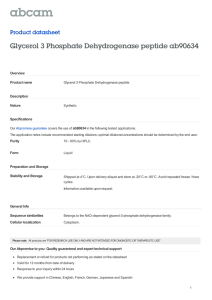 Glycerol 3 Phosphate Dehydrogenase peptide ab90634 Product datasheet Overview Product name
