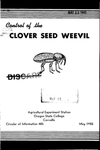 WEEVIL ce°CLOVER SEED Agricultural Experiment Station Oregon State College