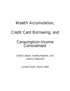 Wealth Accumulation, Credit Card Borrowing, and Consumption-Income Comovement