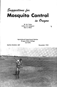 Mosquito Control i#te9o4t /o Sc99e4eaue4