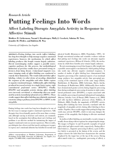 Putting Feelings Into Words Affective Stimuli Research Article