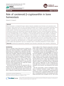 b-cryptoxanthin in bone Role of carotenoid homeostasis R E V I E W
