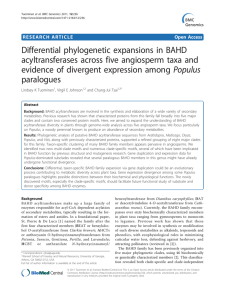 Differential phylogenetic expansions in BAHD acyltransferases across five angiosperm taxa and