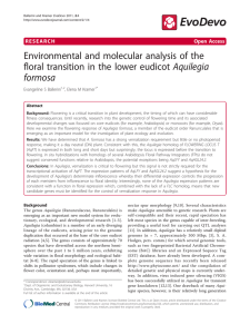 Environmental and molecular analysis of the formosa