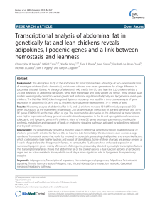 Transcriptional analysis of abdominal fat in