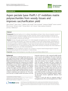 Aspen pectate lyase PtxtPL1-27 mobilizes matrix polysaccharides from woody tissues and