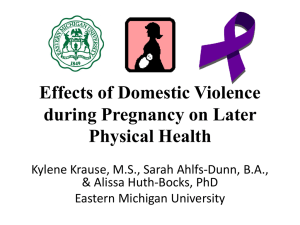 Effects of Domestic Violence during Pregnancy on Later Physical Health