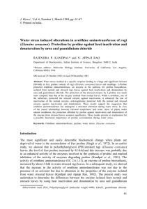 Water stress induced alterations in ornithine aminotransferase of ragi Eleusine coracana