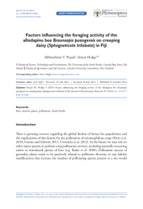 Factors influencing the foraging activity of the Braunsapis puangensis Sphagneticola trilobata