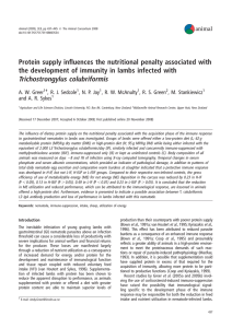 Protein supply influences the nutritional penalty associated with